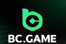 Casinò BCGame in Italia La Tua Guida Completa